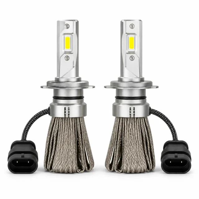 Bulbs